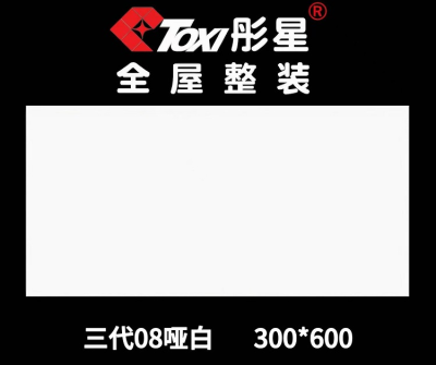 鋁扣板——三代08啞白300*600